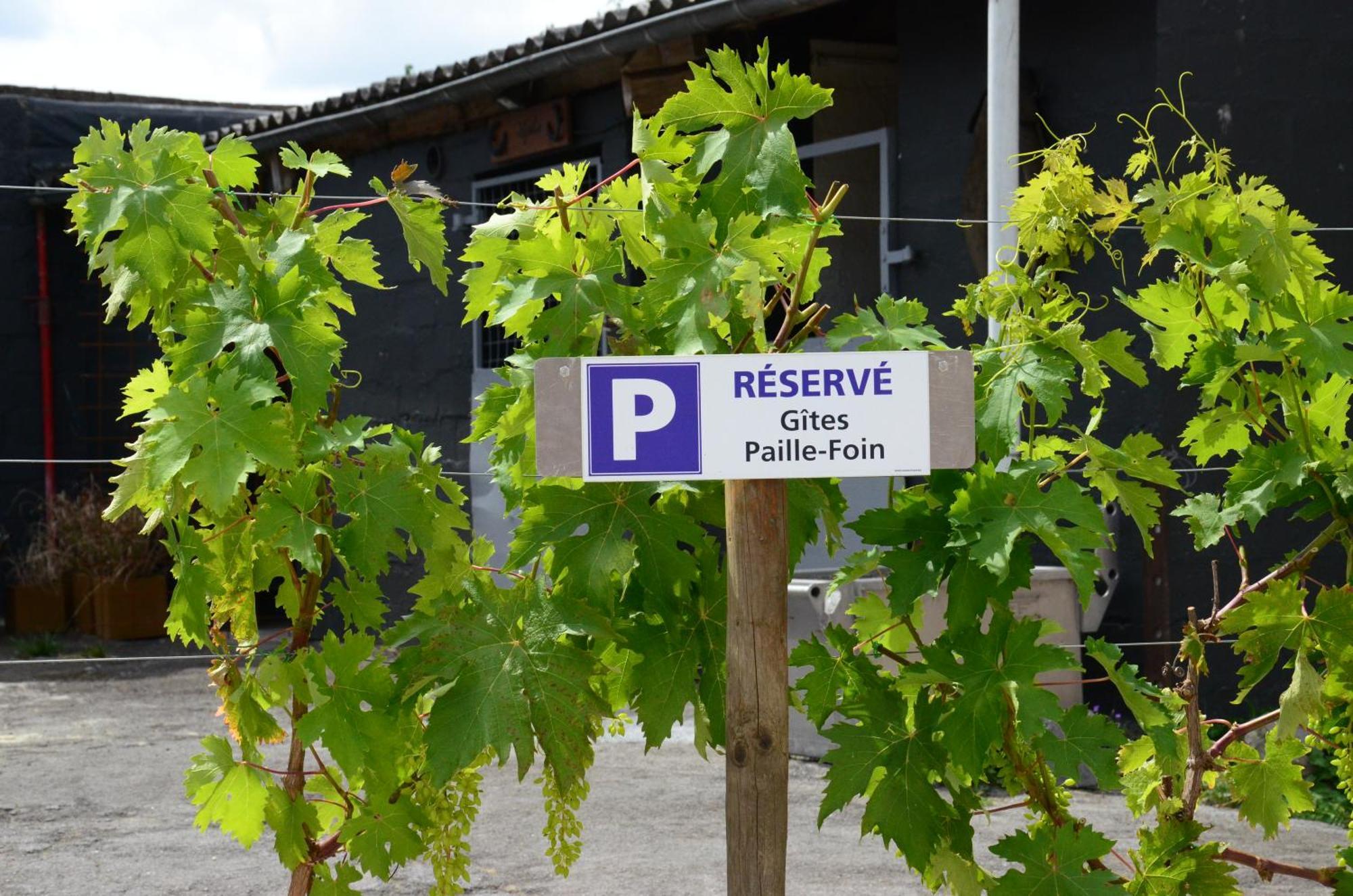 Gites Paille-Foin Cerfontaine Exterior photo